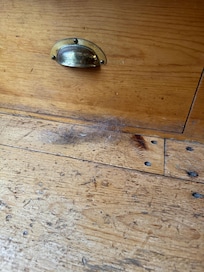 Dog hair from previous guests (we did not have any pets)