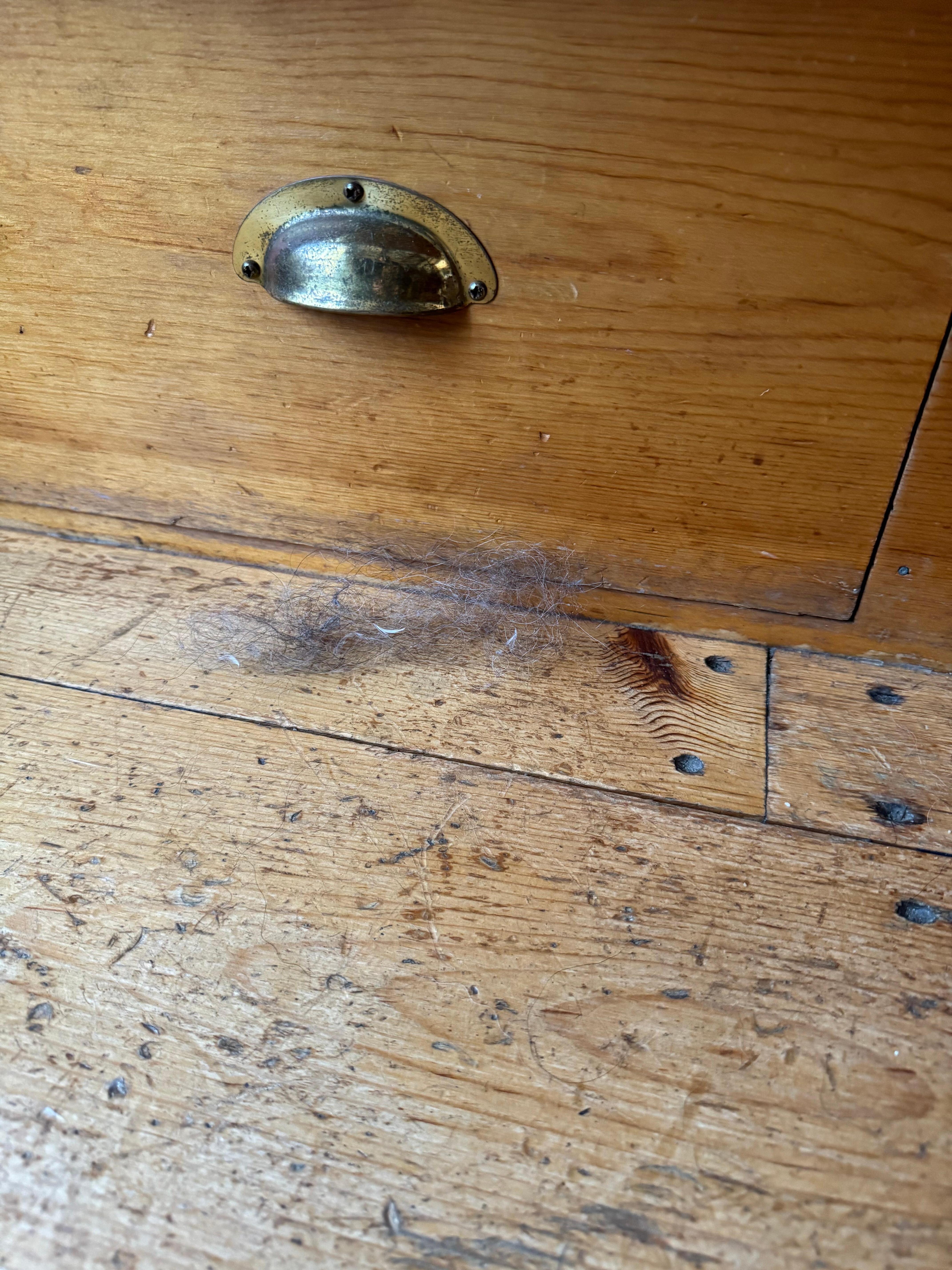 Dog hair from previous guests (we did not have any pets) 