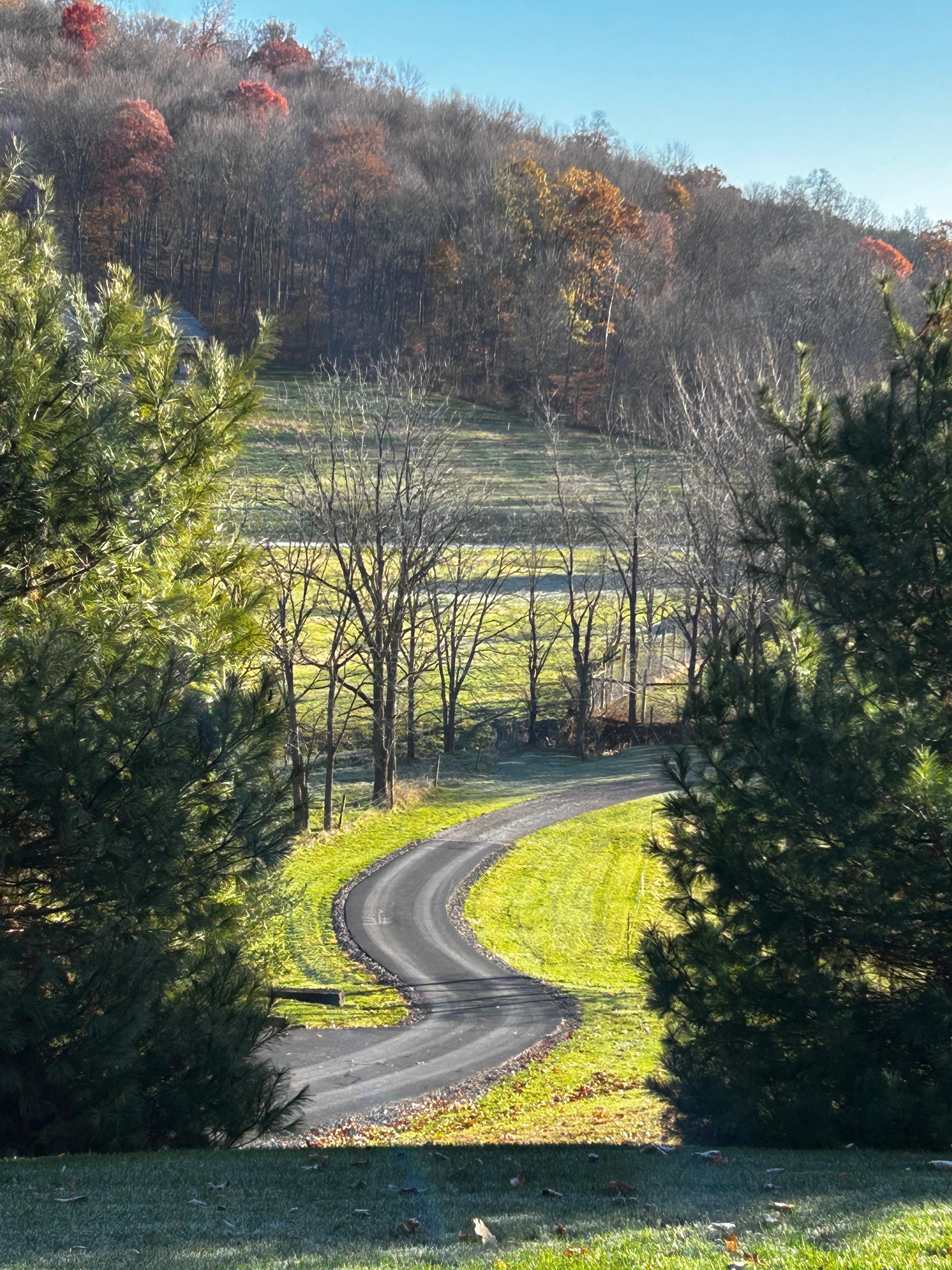 View from the top of the driveway.