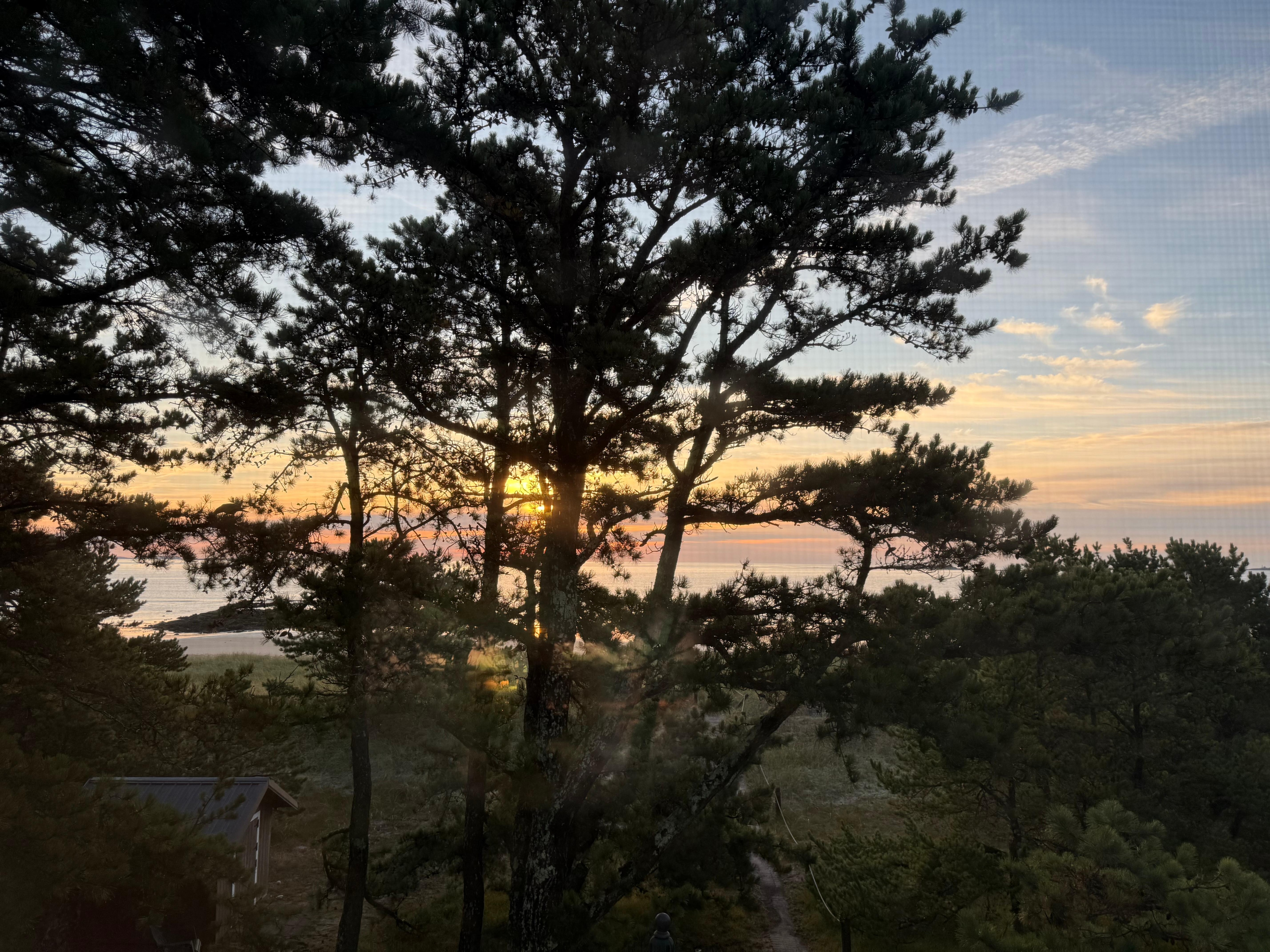 Sunrise from the upstairs window.