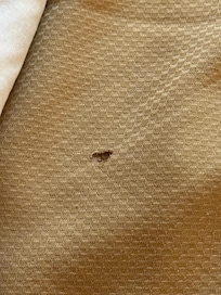 Burn hole in comforter