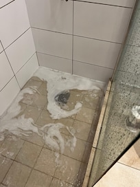 Shower would not drain