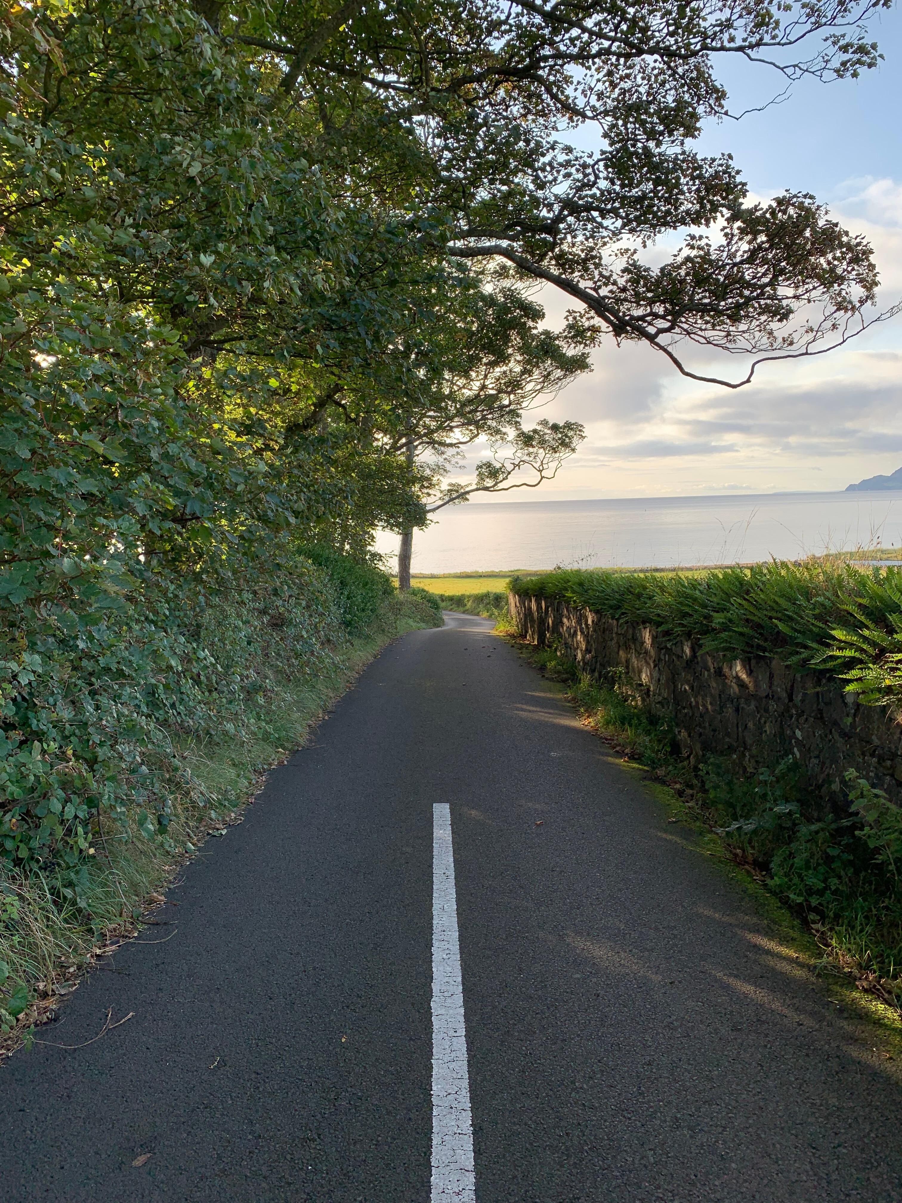 Walked down the long steep driveway to the waterfront.