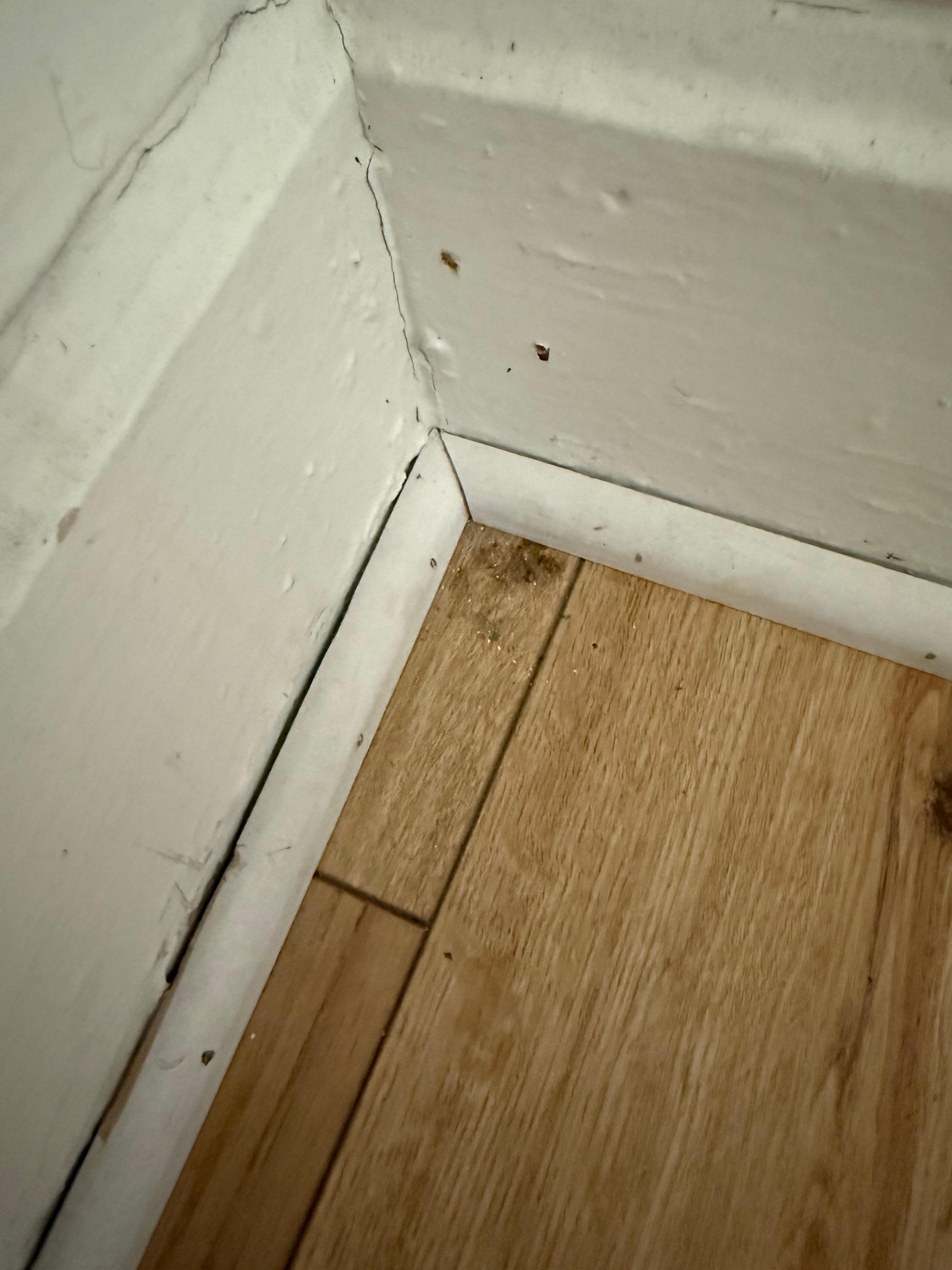 Lots of dirt in corners