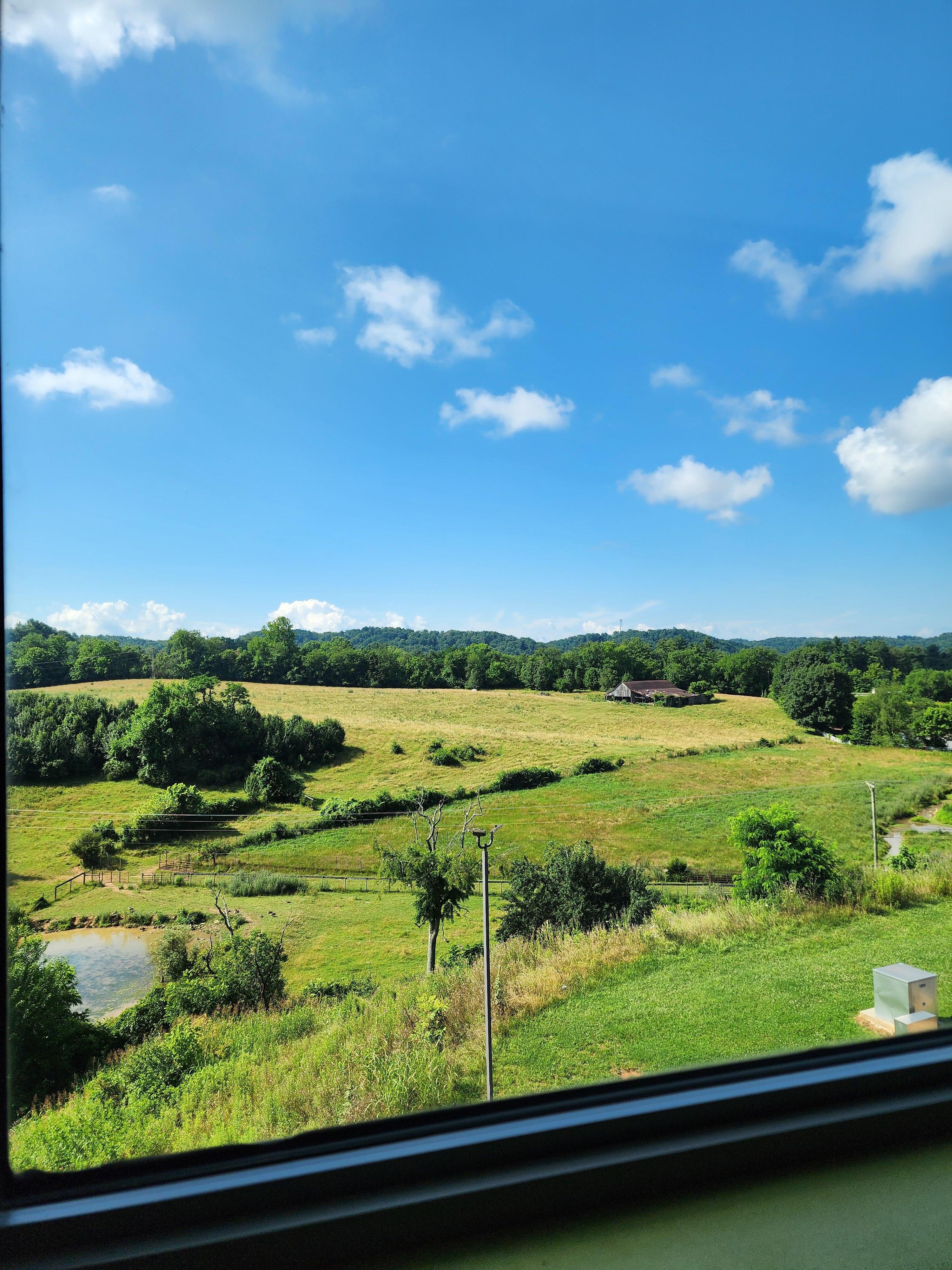 The view out our room window
