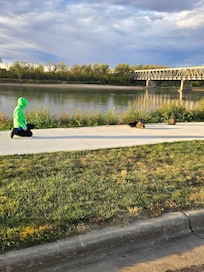 We always visit the South Dakota/Nebraska bridge and riverview park in Yankton, SD and feed ducks/cats/etc.