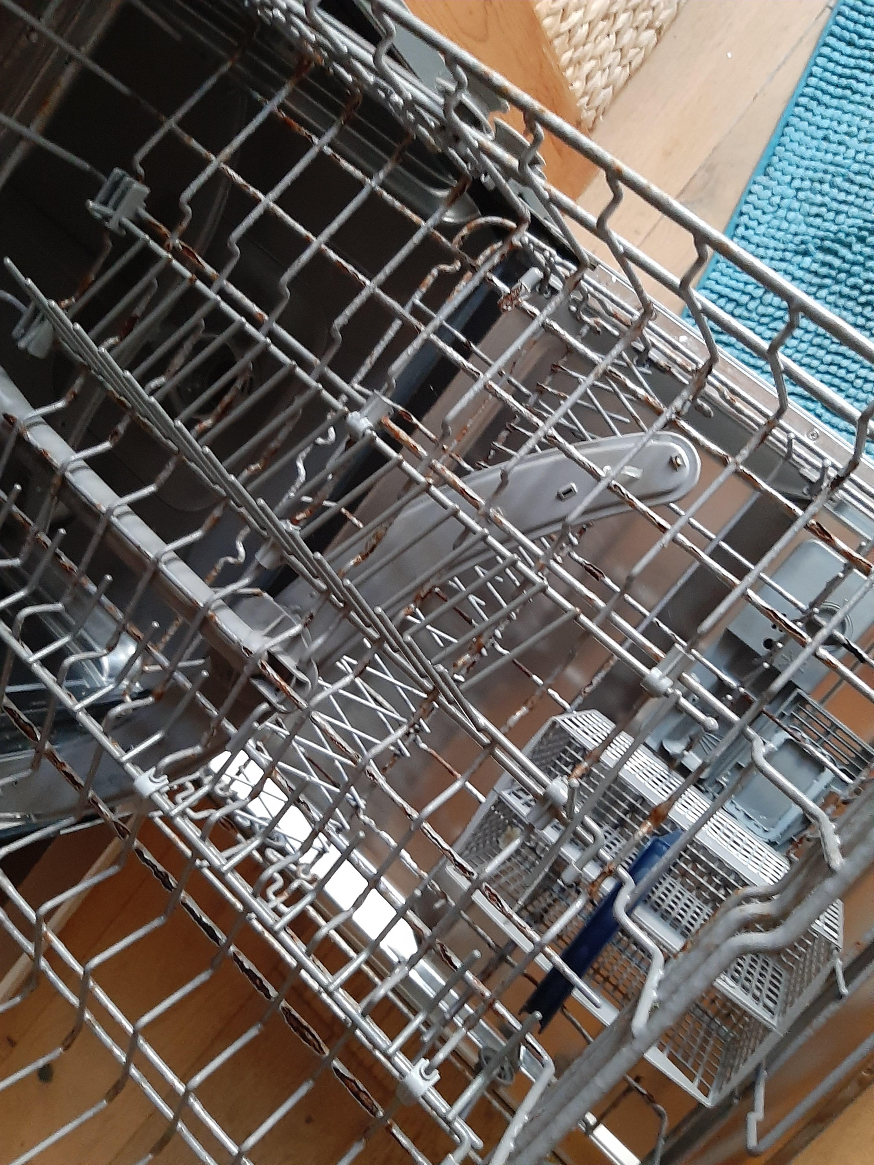 Lave vaisselle paniers rouilles