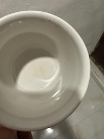 Hairs in my coffee cup