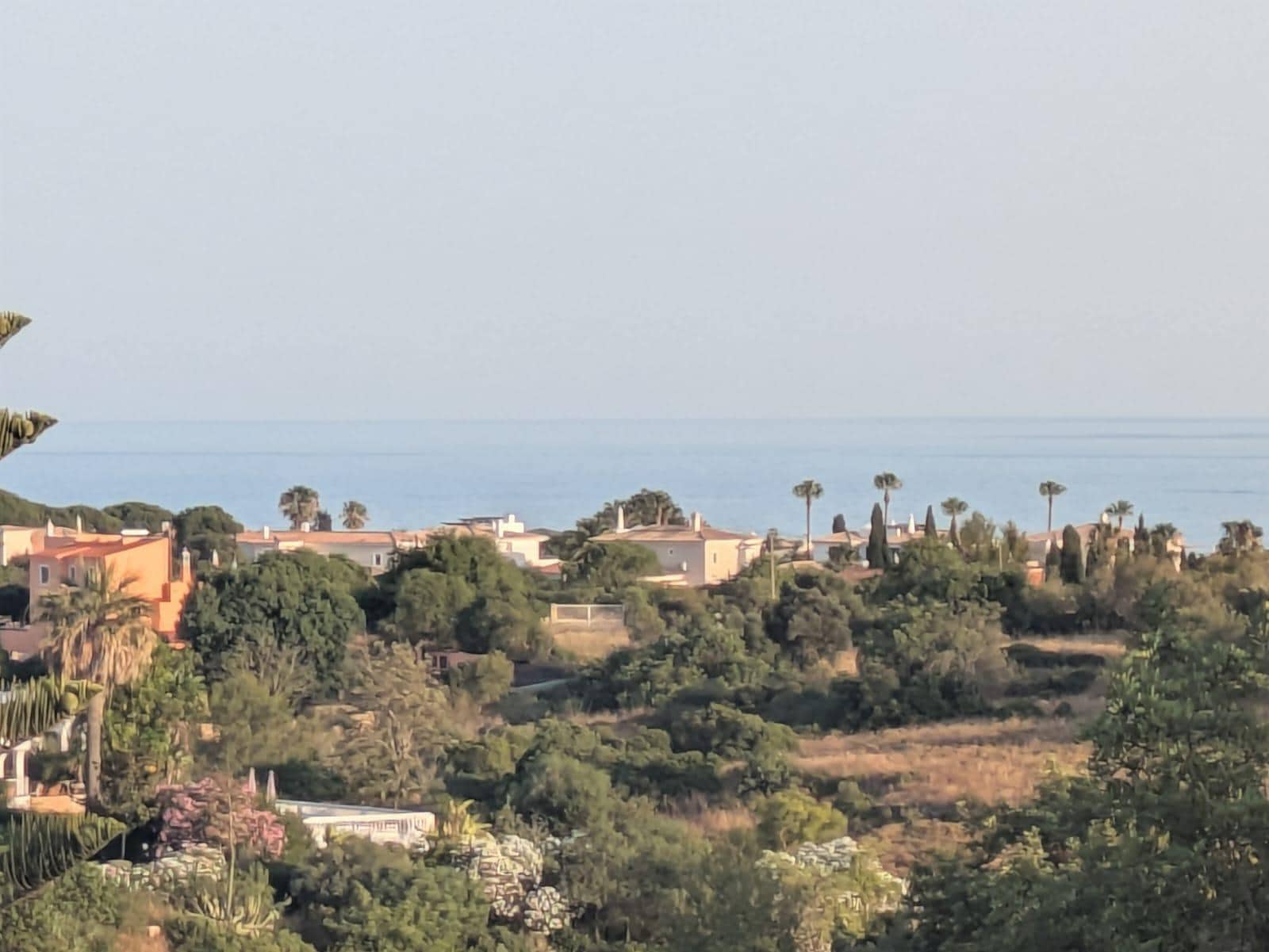 Views from the rooftop