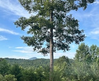 The view out of our room window.