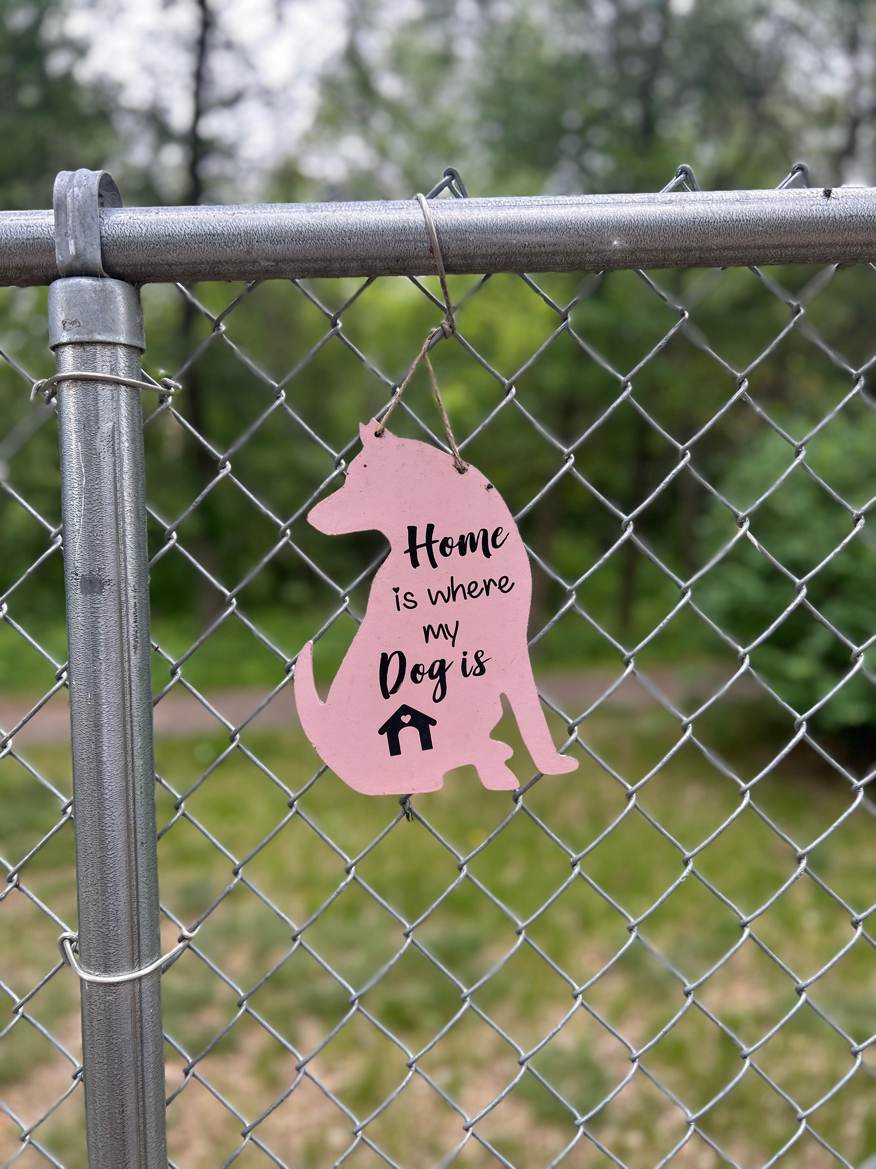 The dog park in Brainerd is close and very nice! 
