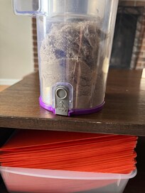 Master bedroom carpet