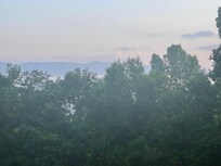 View from the back porch.