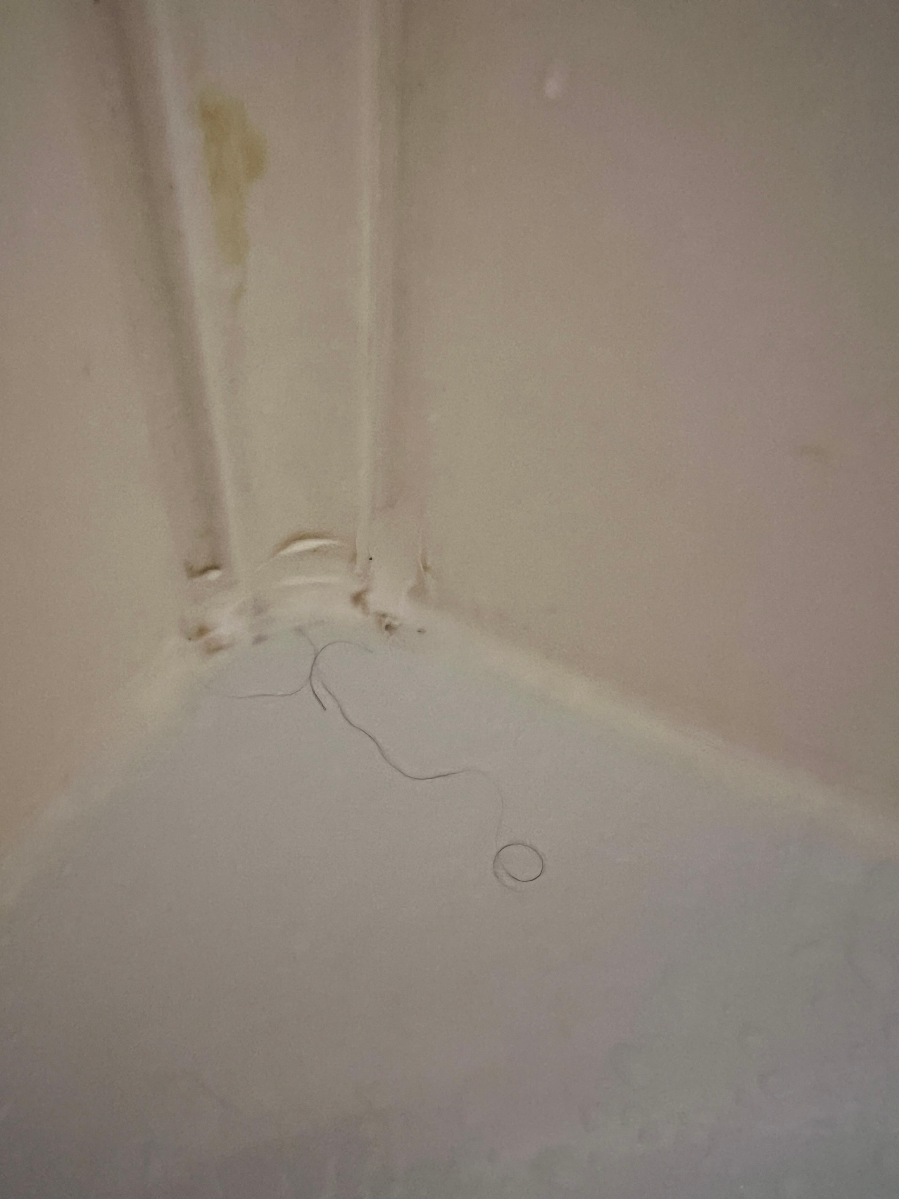 Long hair and poorly maintained shower/tub seal