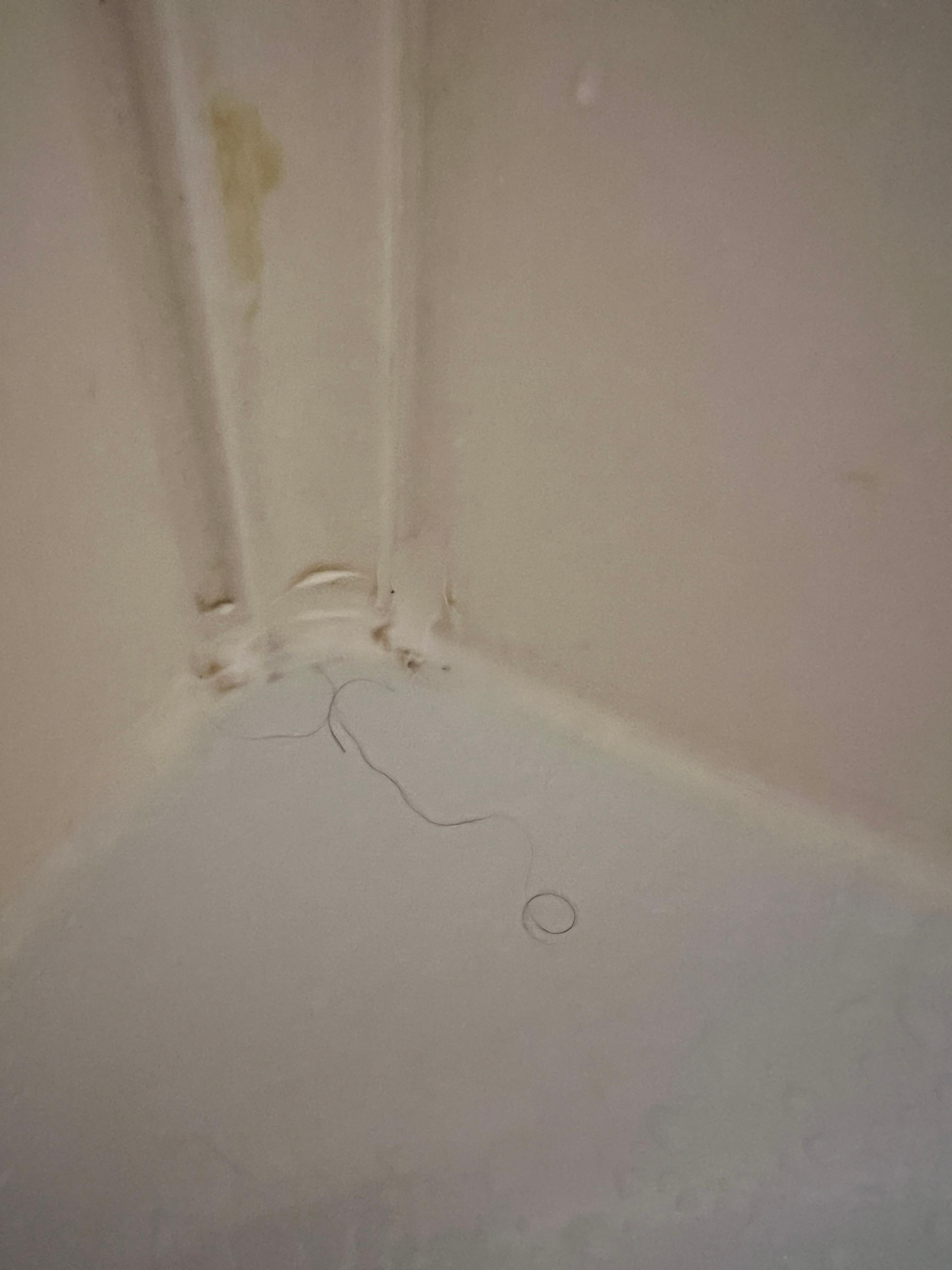 Long hair and poorly maintained shower/tub seal