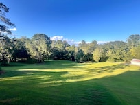 Gorgeous view