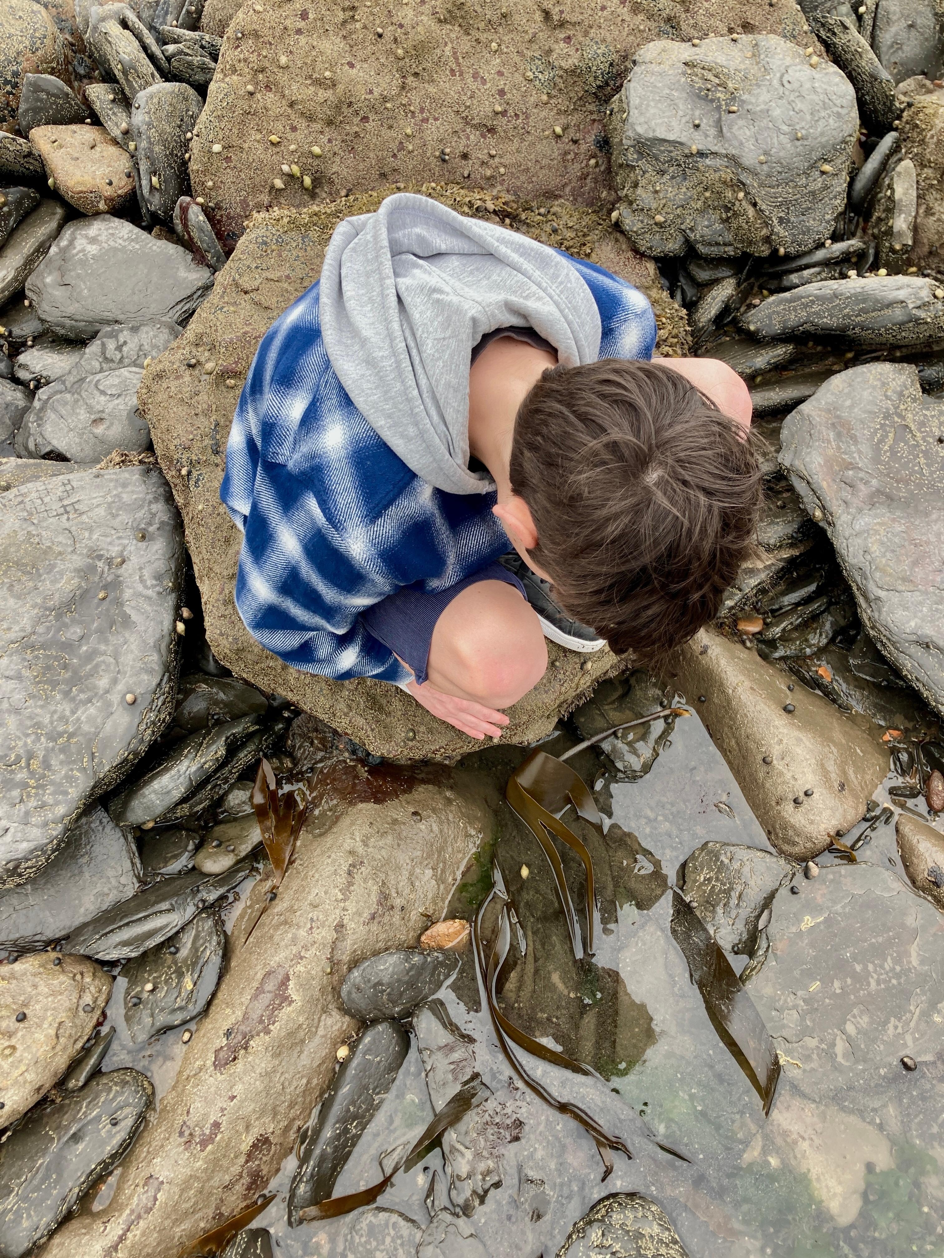 Rock pooling 