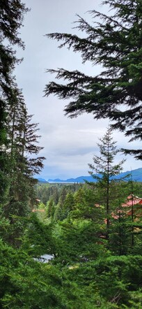 View of Resurrection Bay from the hill behind d the home.