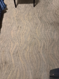 Carpet is filthy