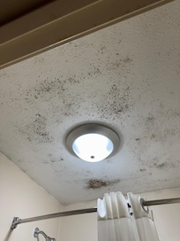 Black mold