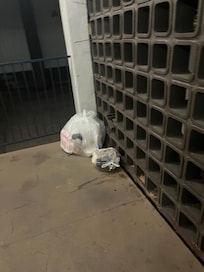 Day 1