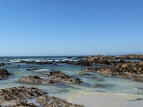 Asilomar state beach