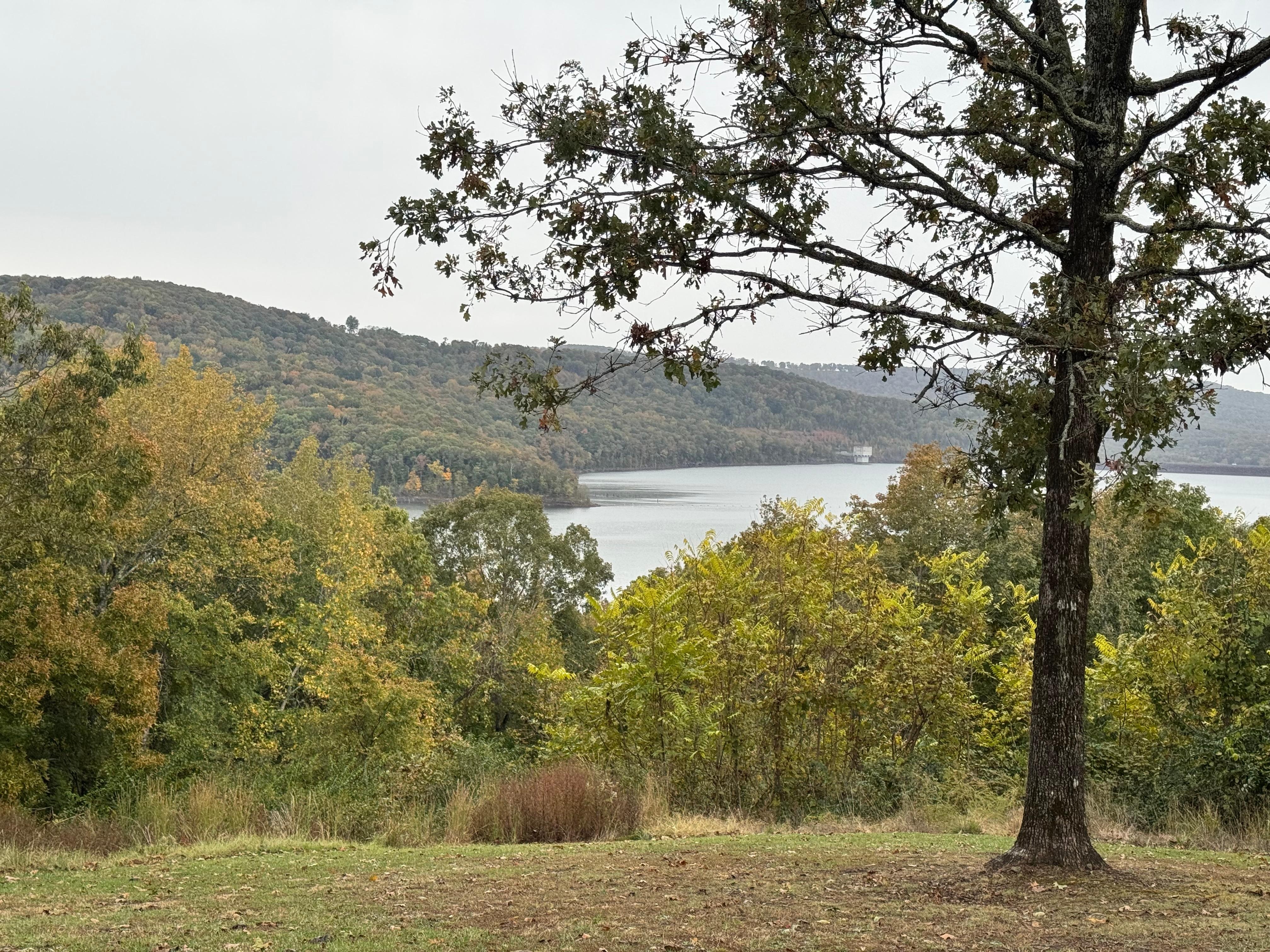 Picture doesn’t do it justice. View from front porch.