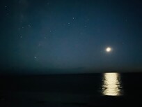 Moonlit