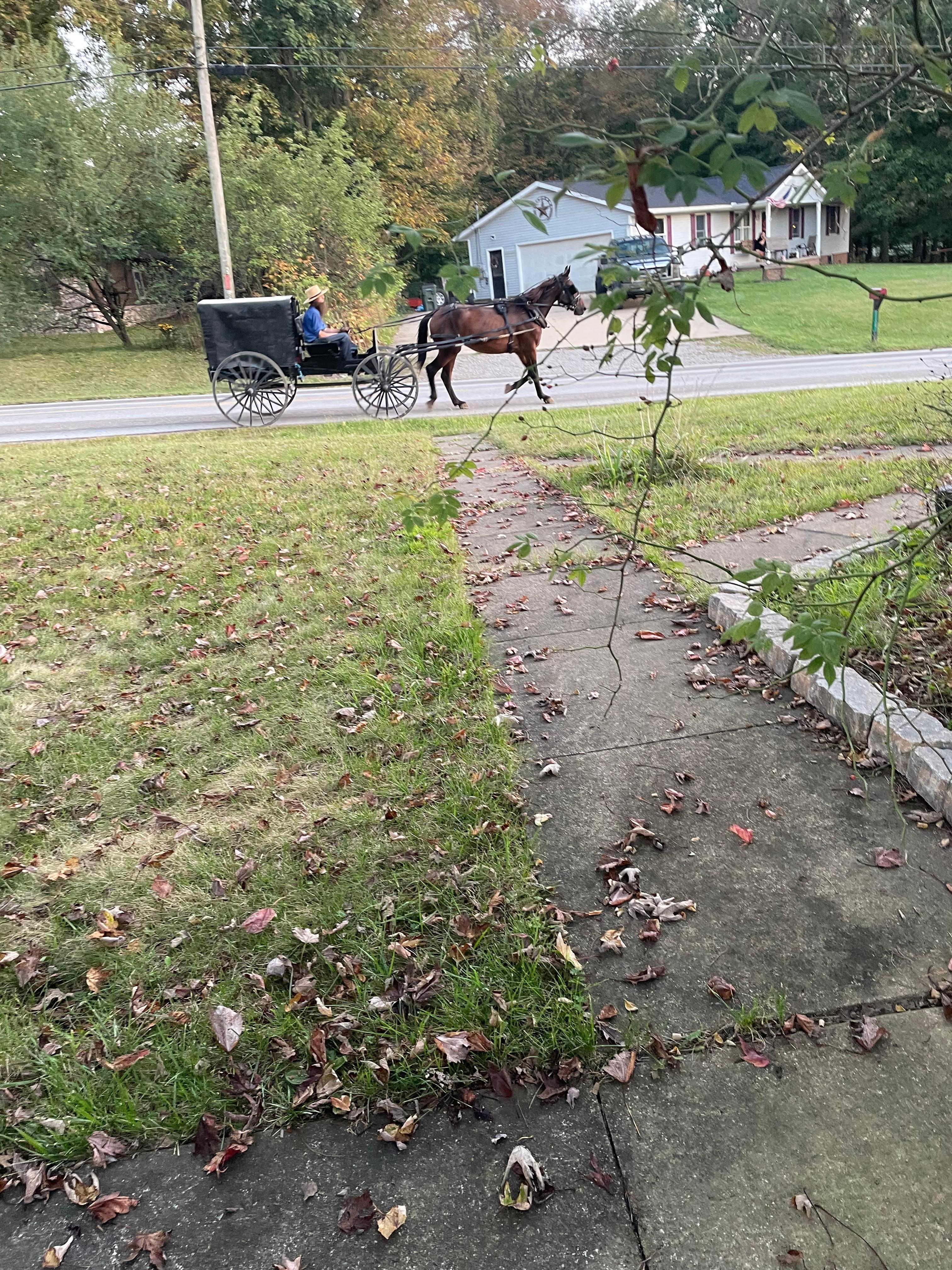 Sitting at the fire pit watching buggies go by