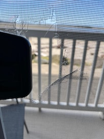 The hole in the screen door.