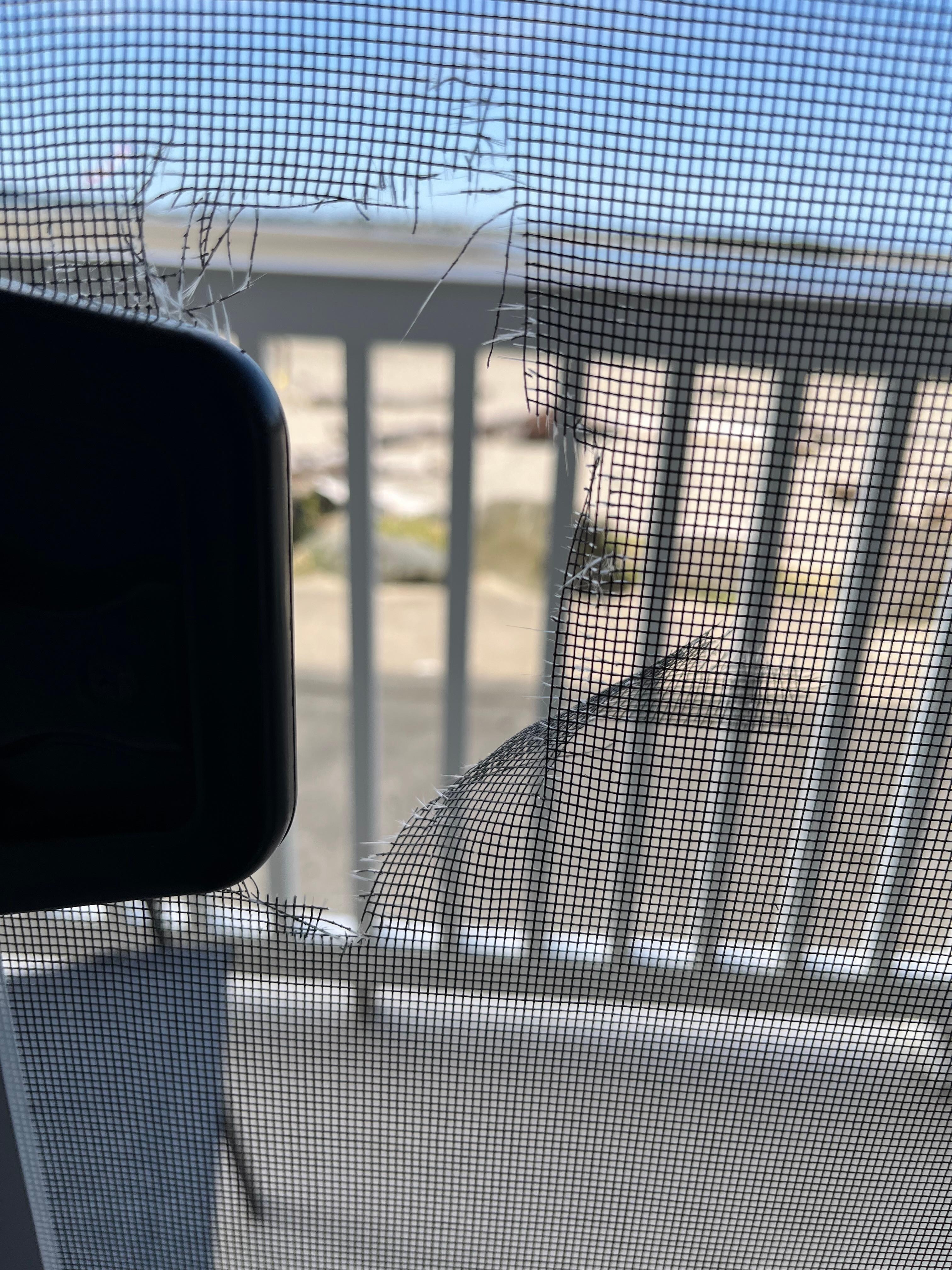 The hole in the screen door.