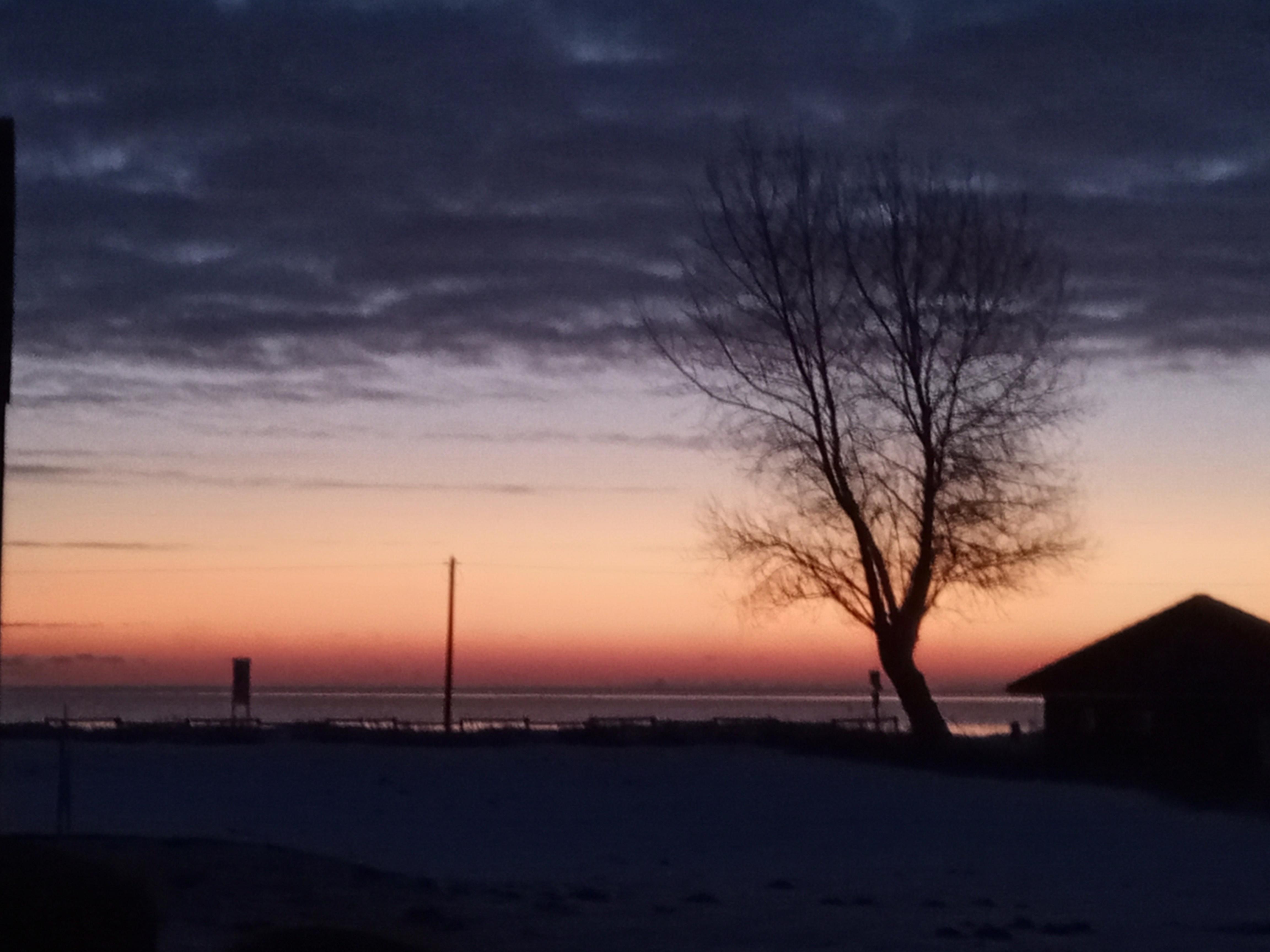 Ausblick aus der Wohnküche 