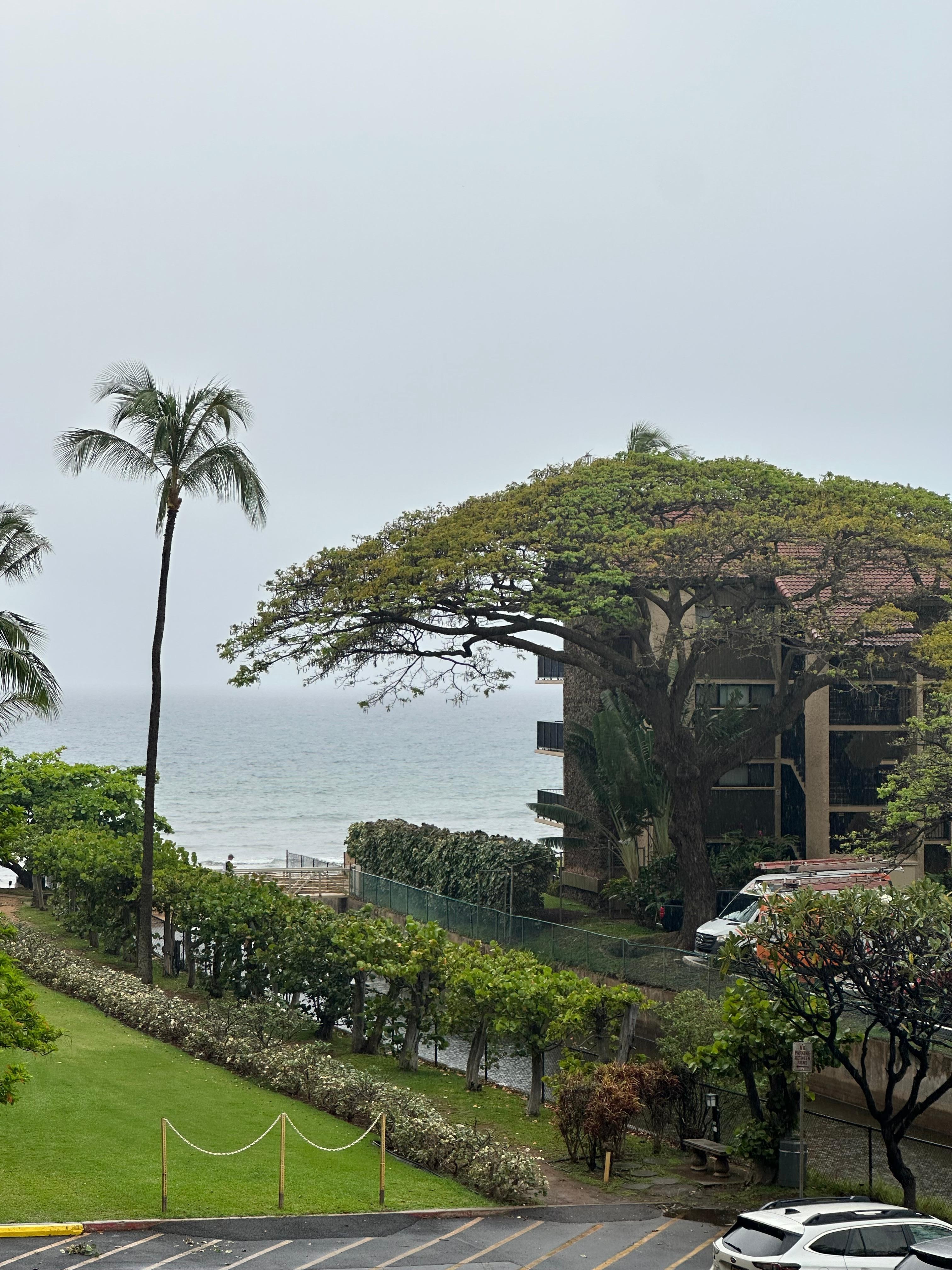 View from the balcony. 
