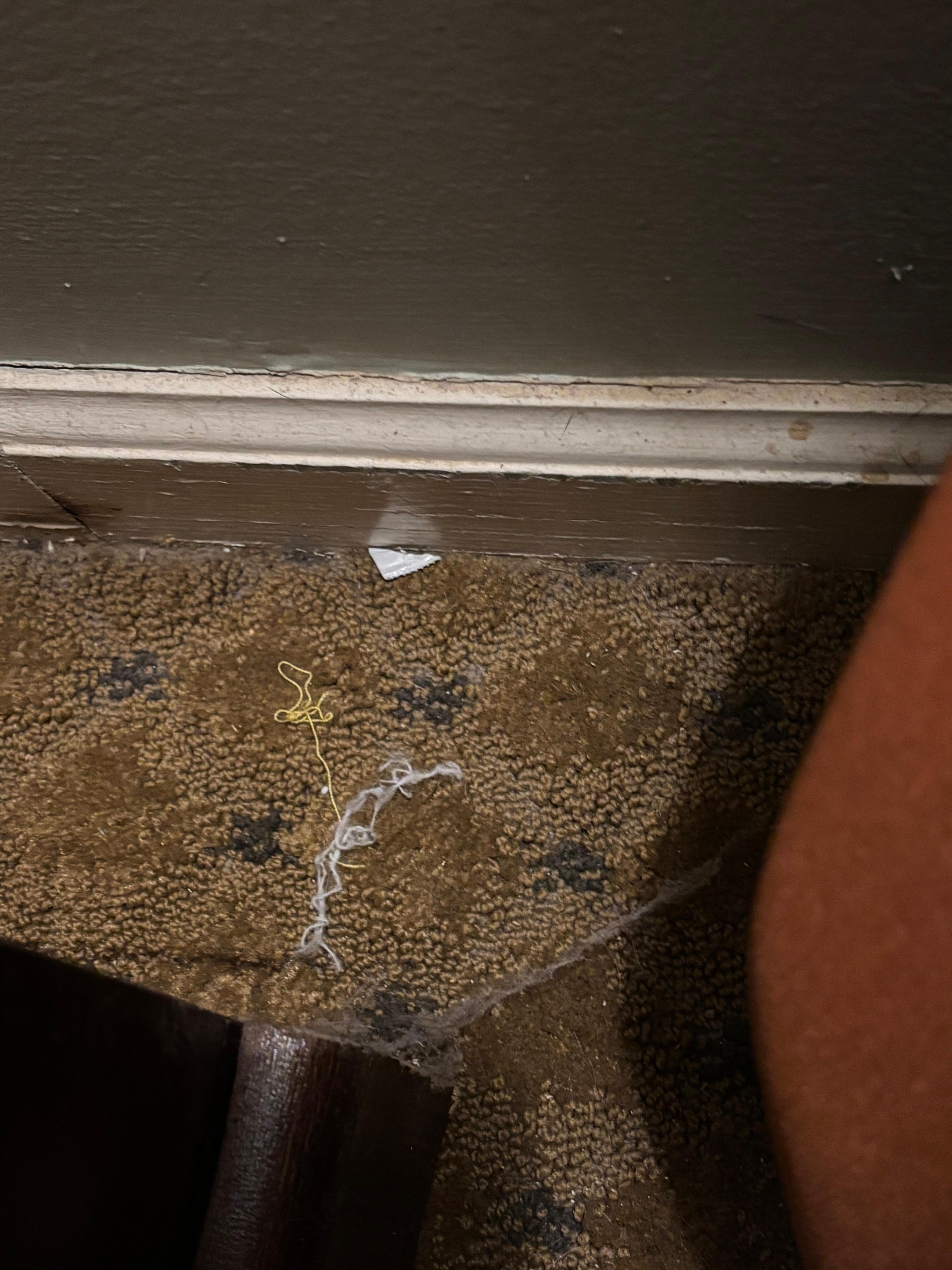 Cobwebs, dust and trash. No outlets for phone chargers by the bed. 