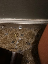 Cobwebs, dust and trash. No outlets for phone chargers by the bed.
