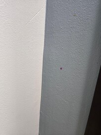 Dirt on walls