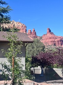 View from back yard