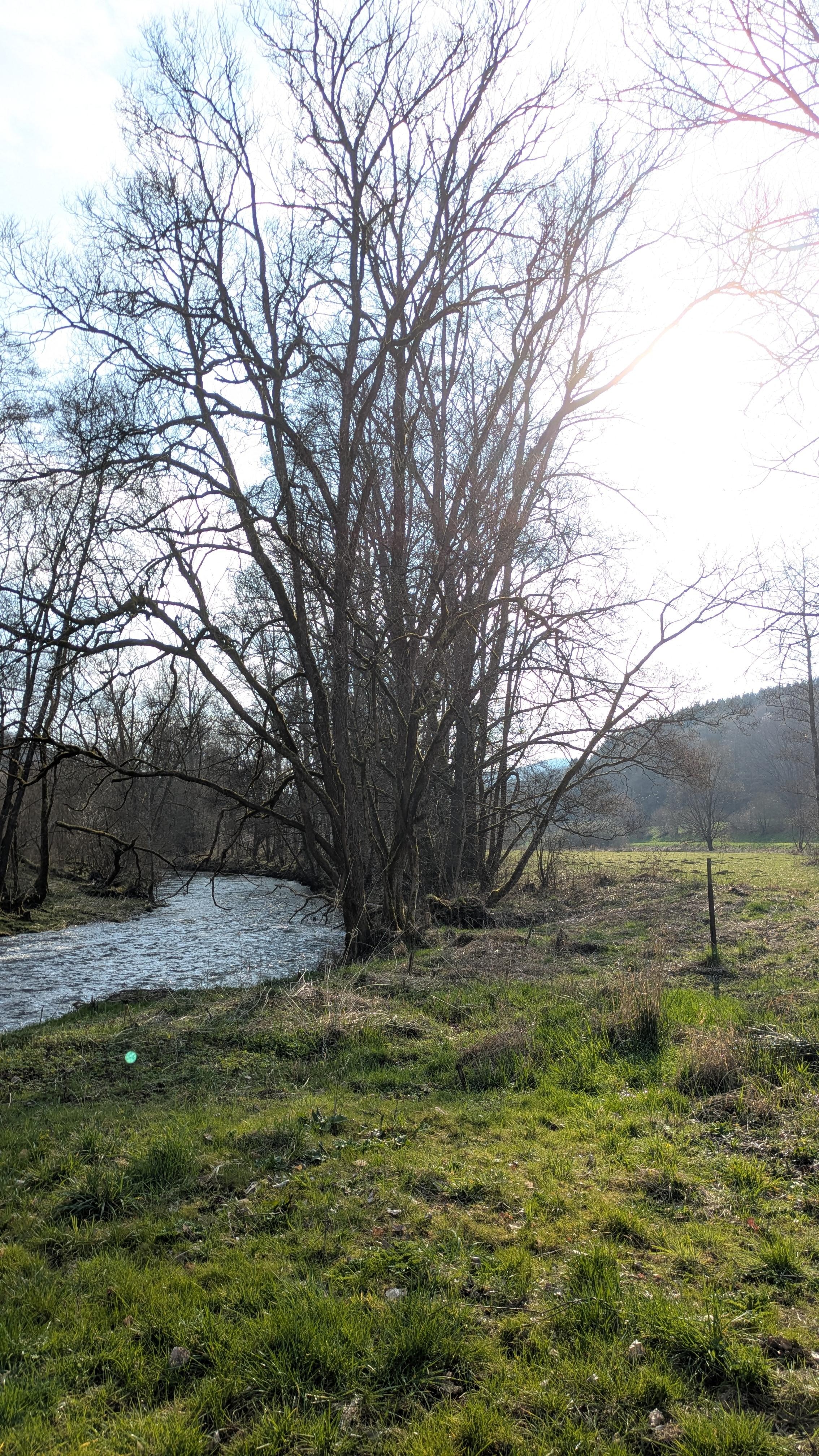 Angrenzender Fluss Kyll