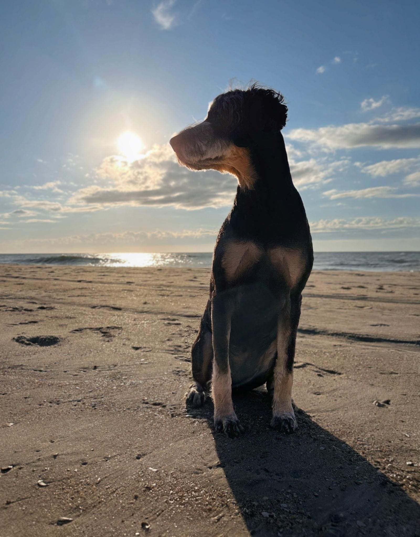 Morning late sunrise 