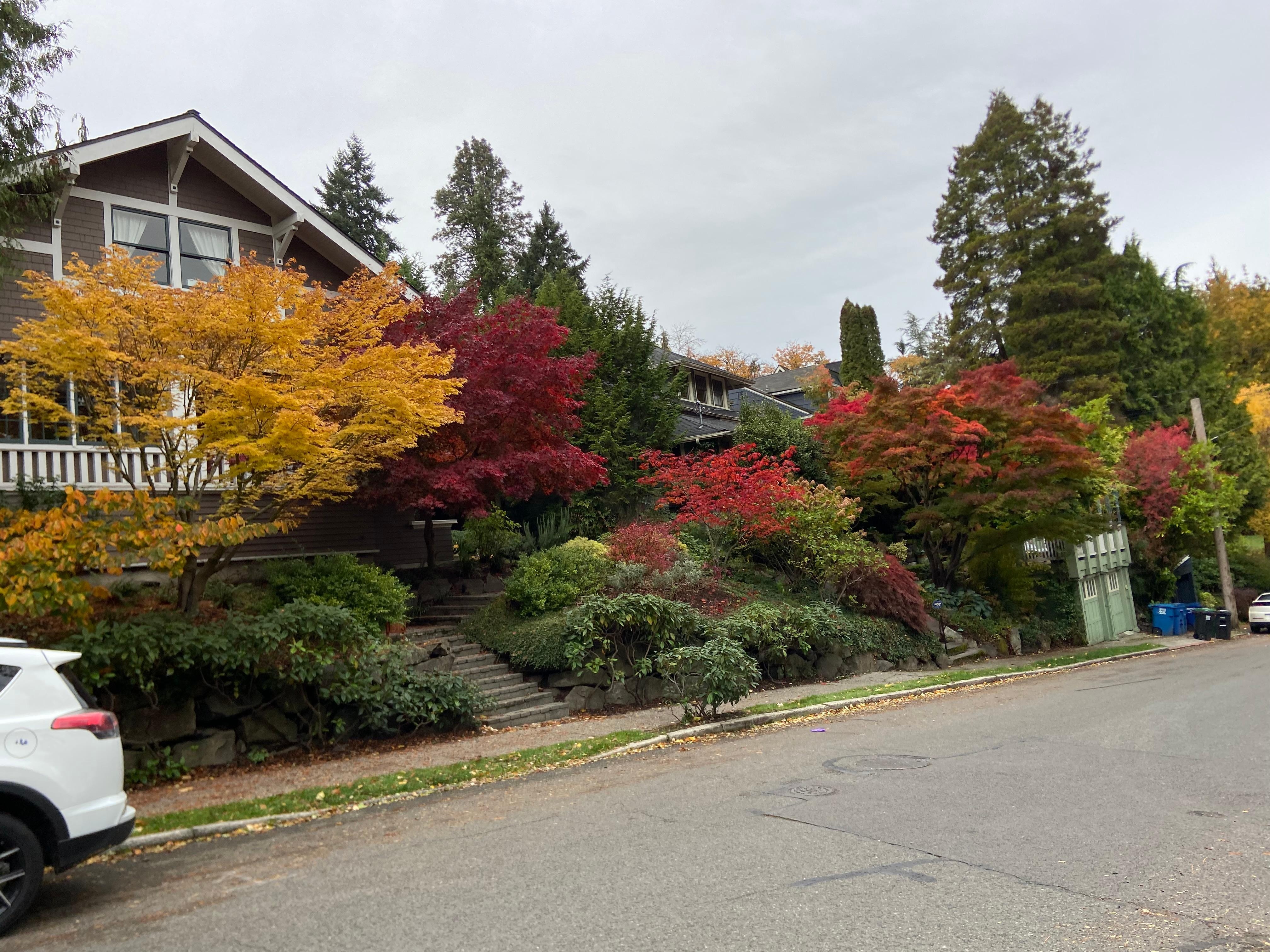 Neighborhood walk to the Arboretum 