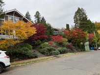 Neighborhood walk to the Arboretum