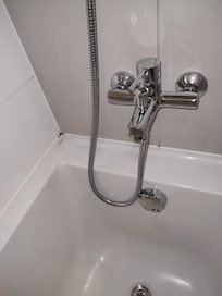 Mold in the bathroom
