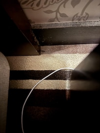 Bug found in room.
