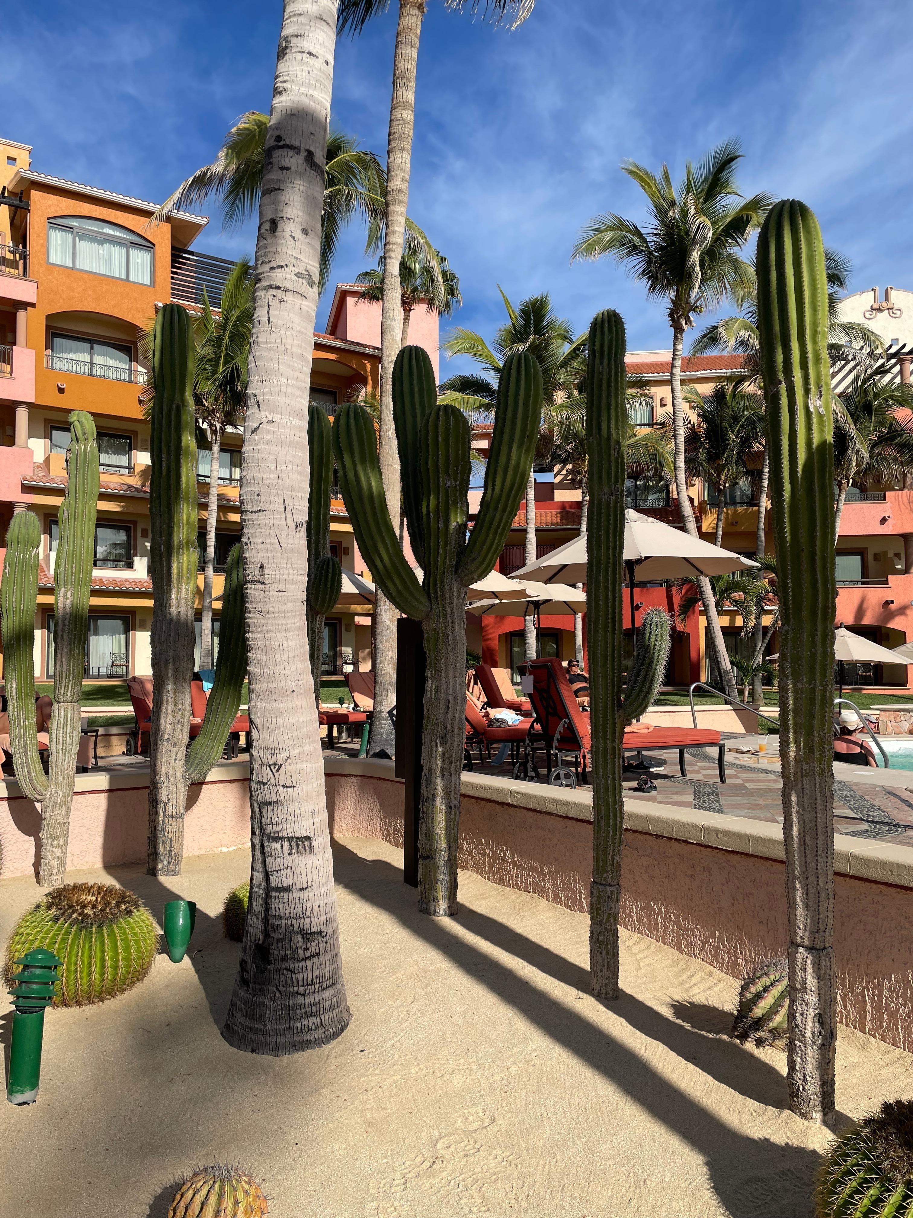 Took this walking around the pool area 