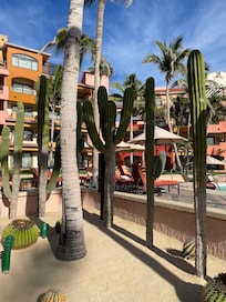 Took this walking around the pool area