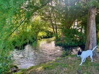 Green area near the house and the river Colonne