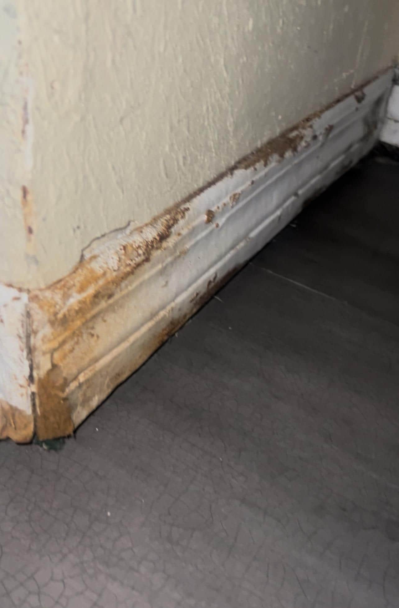 These are the baseboards!!!