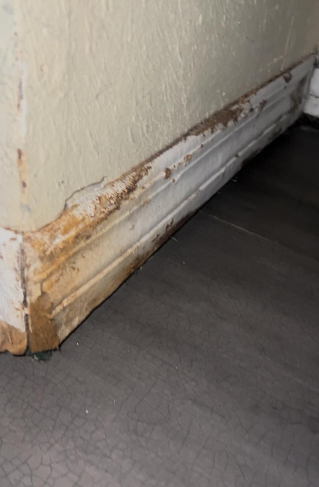 These are the baseboards!!!