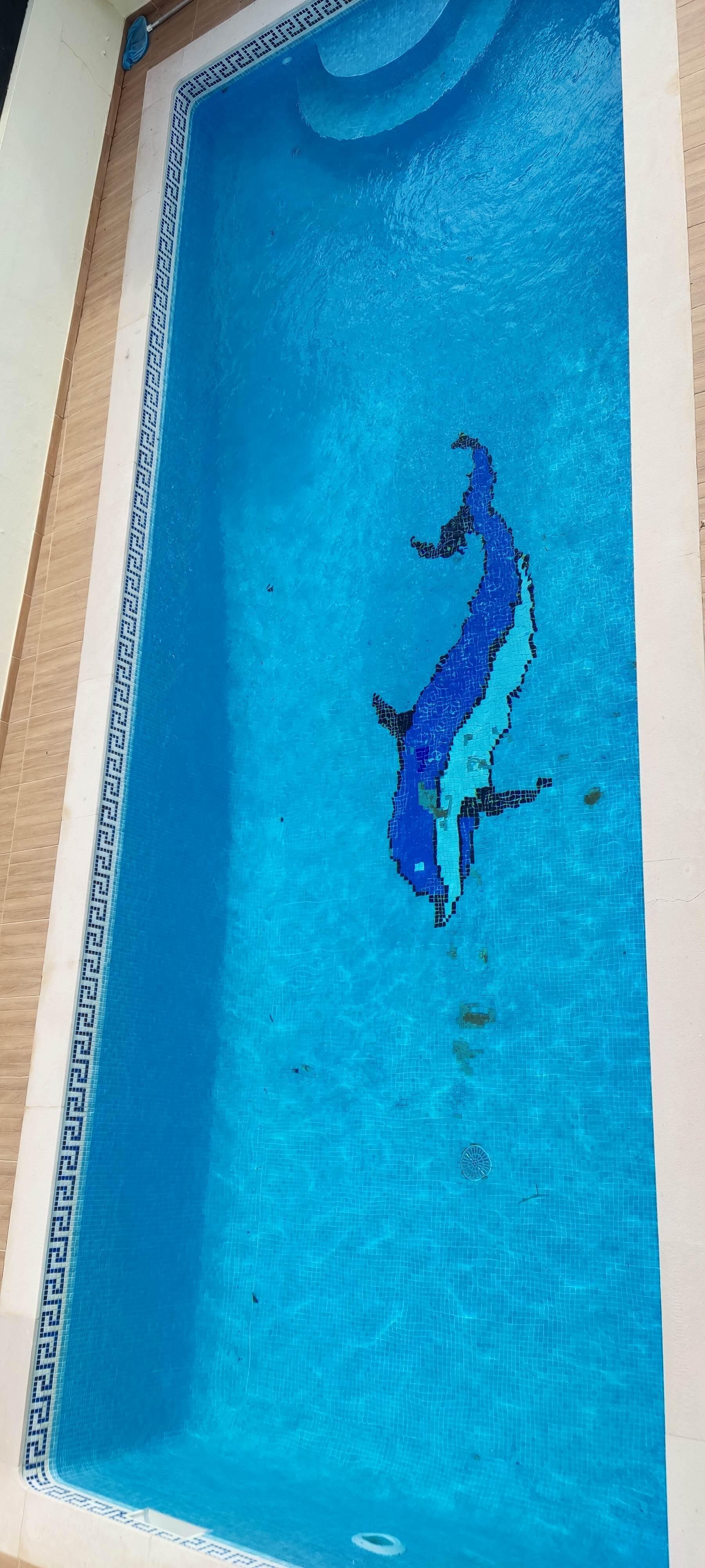 Sehr schöner und großer Pool