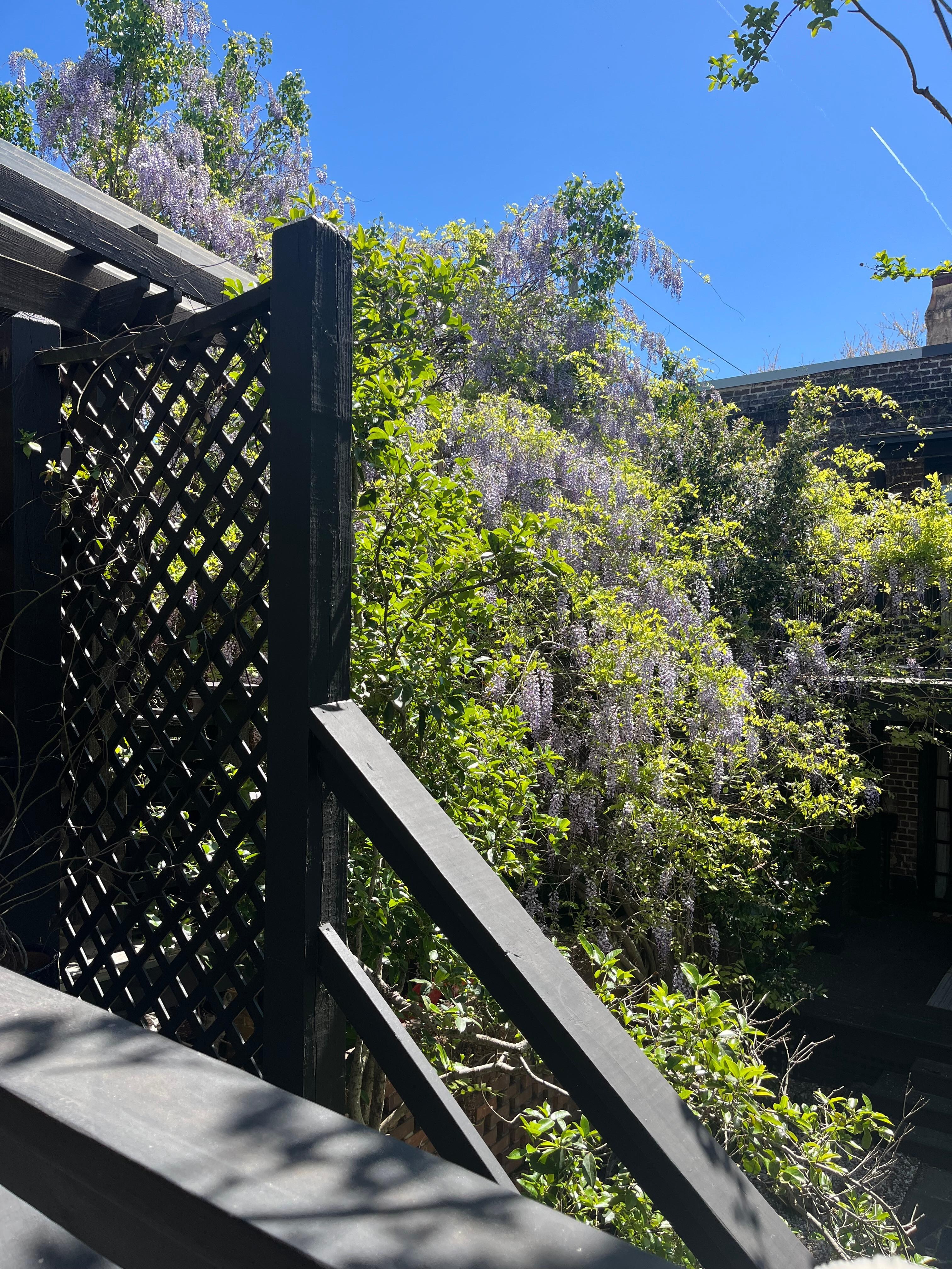 View from balcony